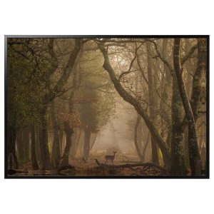 BJORKSTA Retrato Venado