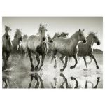 PJATTERYD Cuadro De Caballo