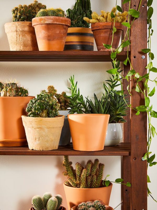 TORDH Estante de Madera Exterior ARMADO - Imagen 2