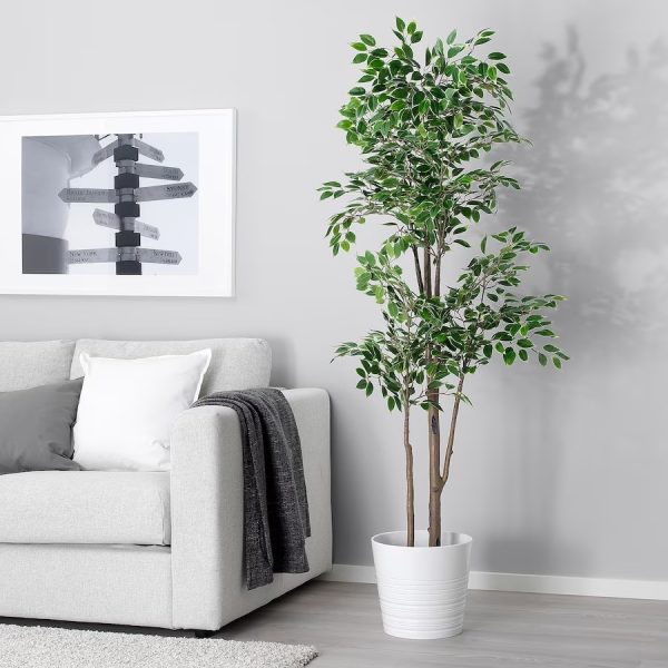 Planta Artificial Ficus - Imagen 2
