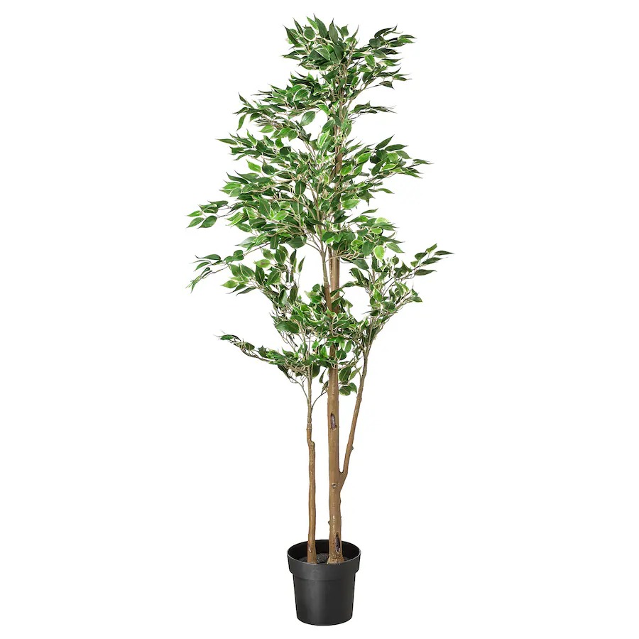 Planta artificial de decoración Ficus Botanic de la marca Decoplanta